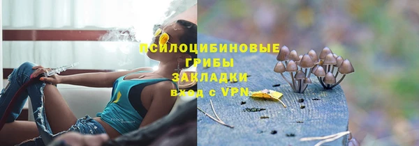 дживик Зеленокумск