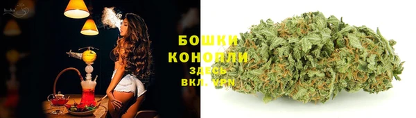 дживик Зеленокумск