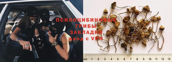 экстази Зерноград