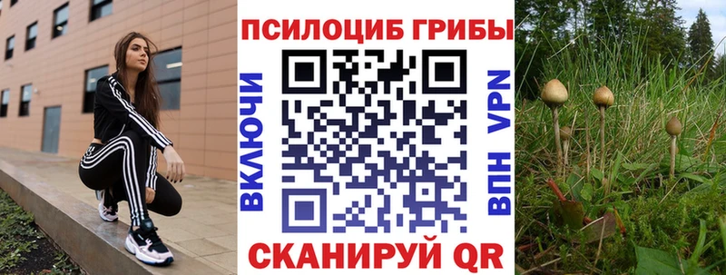 Галлюциногенные грибы Psilocybe  Купить где  Зеленоградск 