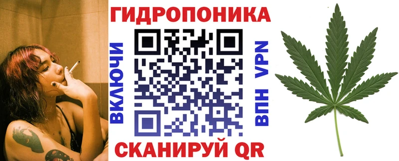 Бошки марихуана ГИДРОПОН  Купить  Зеленоградск 